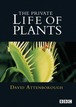 Невидимая жизнь растений (1995)