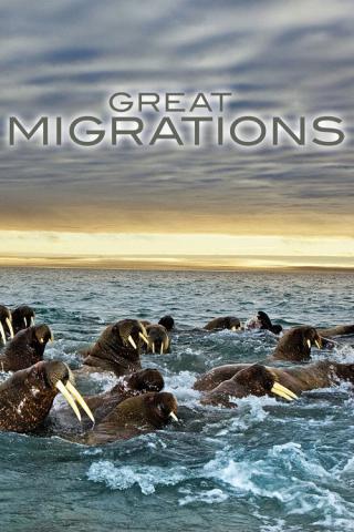Великие миграции (2010)