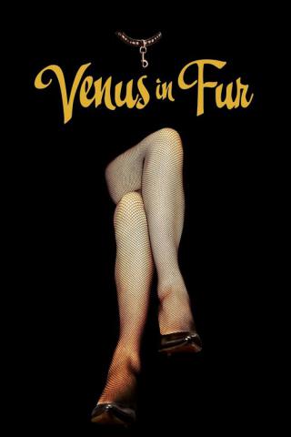Венера в мехах (2013)